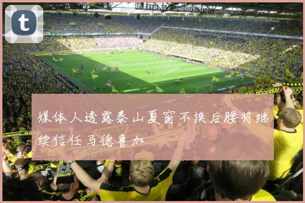 媒体人透露泰山夏窗不换后腰将继续信任马德鲁加